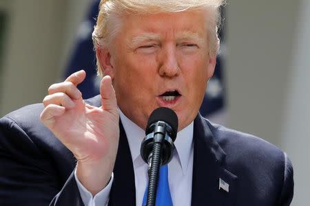 U.S. President Donald Trump speaks during a press conference with Lebanese Prime Minister Saad al-Hariri (not pictured) in the Rose Garden of the White House in Washington, U.S., July 25, 2017. REUTERS/Carlos Barria