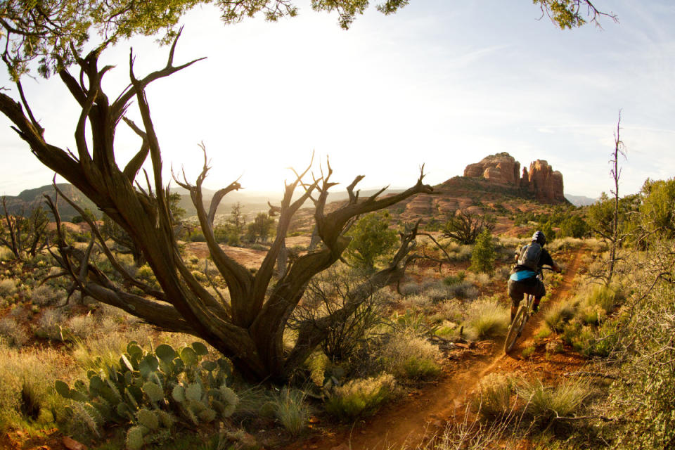 Sedona's miles of singletrack and dramatic slickrock mountain biking trails are Arizona's answer to Moab, UT. <p>GibsonPictures/Getty Images</p>