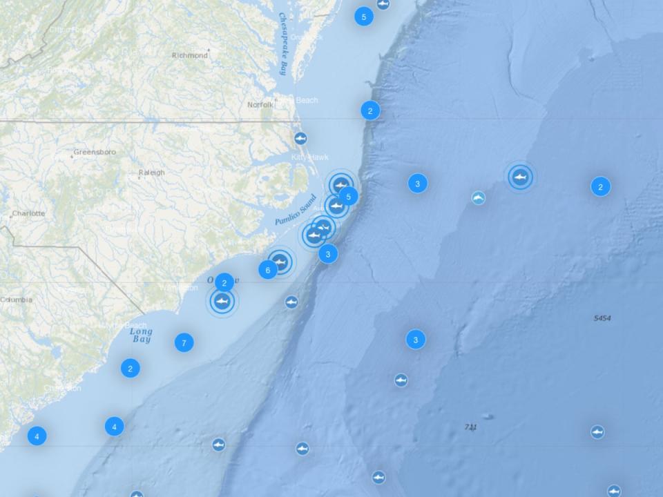 As many as seven great white sharks have been spotted off the coast of North Carolina (Screenshot / OCEARCH)