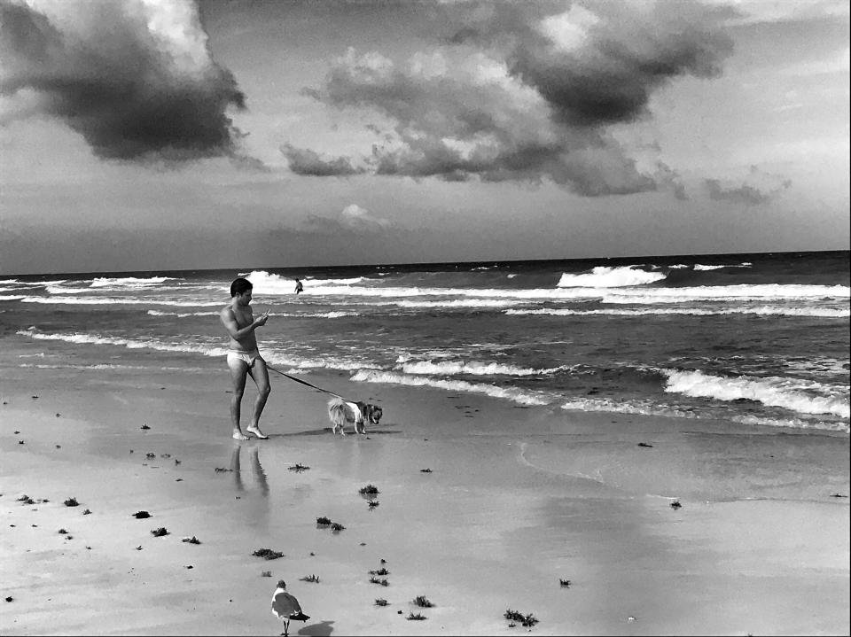 <p>A man walks his dog along the beach Friday in Miami Beach ahead of the expected arrival of Hurricane Irma. The area was under an evacaution order, but many residents stayed. (Photo: Holly Bailey/Yahoo News) </p>