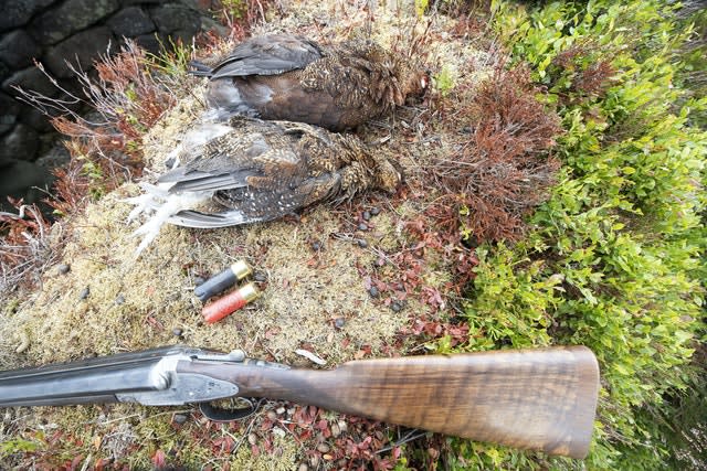 Grouse season