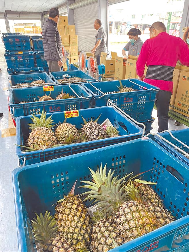 台灣鳳梨品質好，3月積極拓大陸以外的國際市場，已較去年多出3000公噸。圖為台南鳳梨採收裝箱。（本報資料照片）