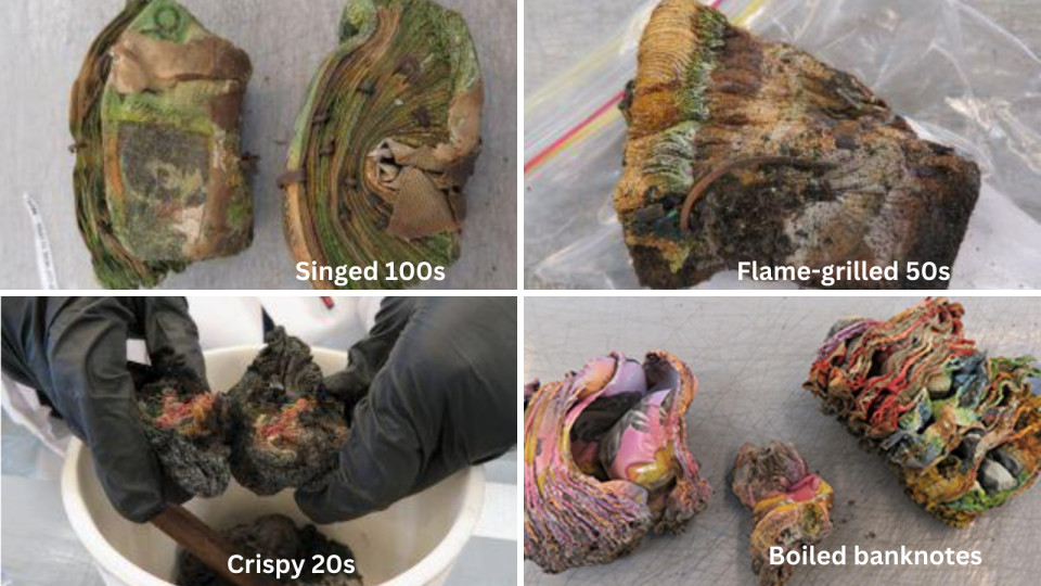 A four-way composite image showing damage to various Australian banknote denominations.