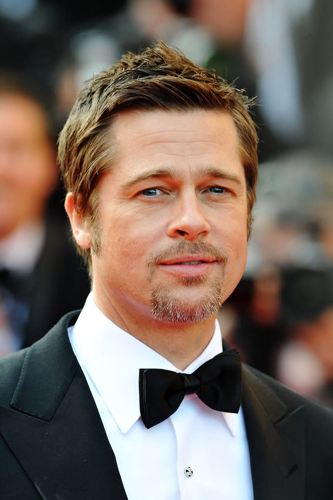 2009 Cannes Film Festival Brad Pitt