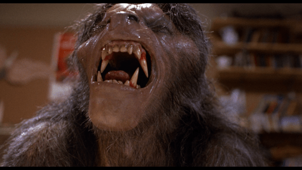 David Naughton as David Kessler turning into a werewolf in "An American Werewolf in London"<p>Polygram Pictures/Universal Pictures</p>