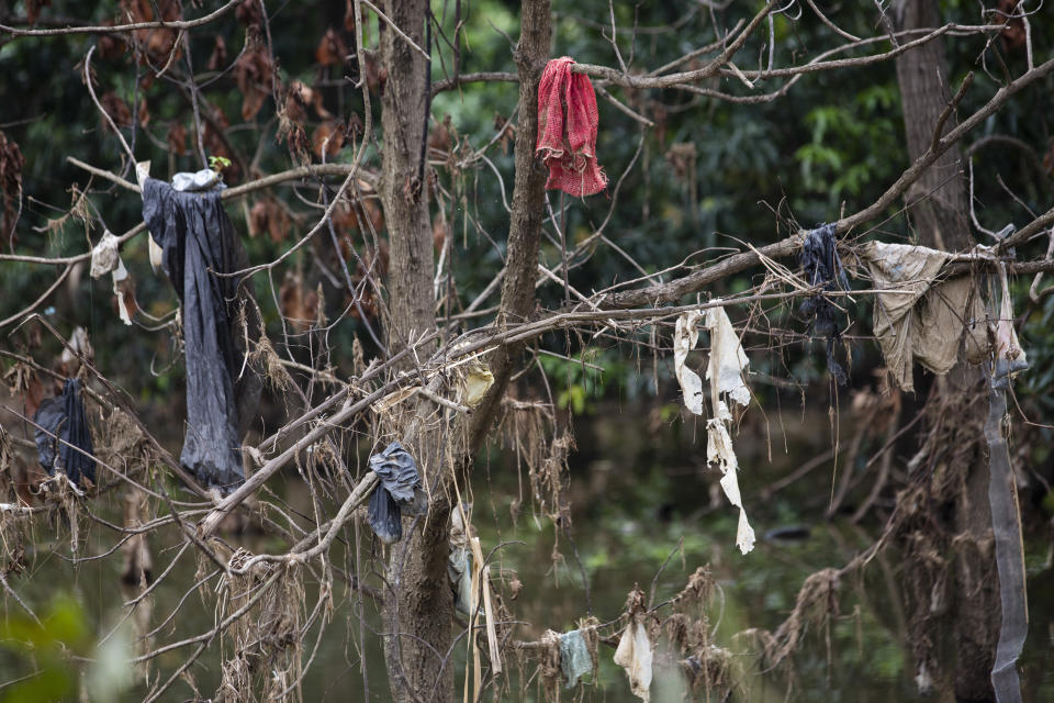 Pieces of clothing hang from a tree in the Chamelecon River after the water brought by hurricanes Eta and Iota receded little by little in the Saviñon Cruz neighborhood oof San Pedro Sula, Honduras, Tuesday, Jan. 12, 2021. The assembly plants that surround San Pedro Sula and power its economy are still not back to pre-hurricane capacity amid the pandemic. (AP Photo/Moises Castillo)