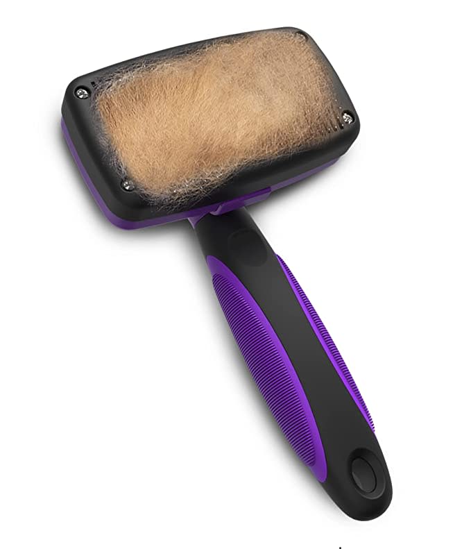 best cat brushes solid pet slicker