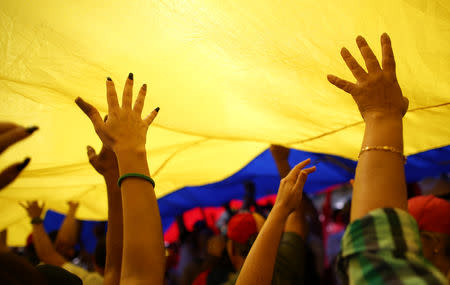 Opposition supporters take part in a rally against Venezuelan President Nicolas Maduro's government in Caracas, Venezuela February 2, 2019. REUTERS/Andres Martinez Casares