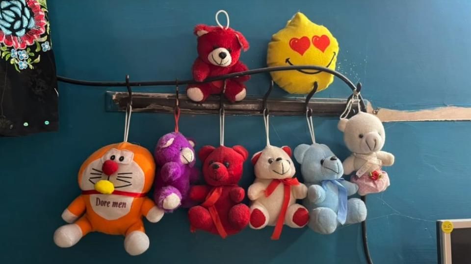 A bunch of soft toys hang from the wall in Aayushi's room