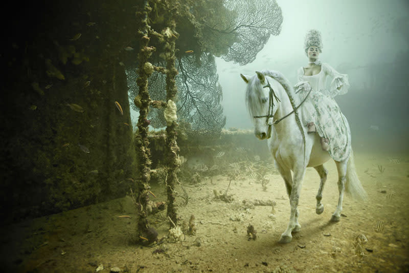 Andreas Franke's Underwater Art Exhibition