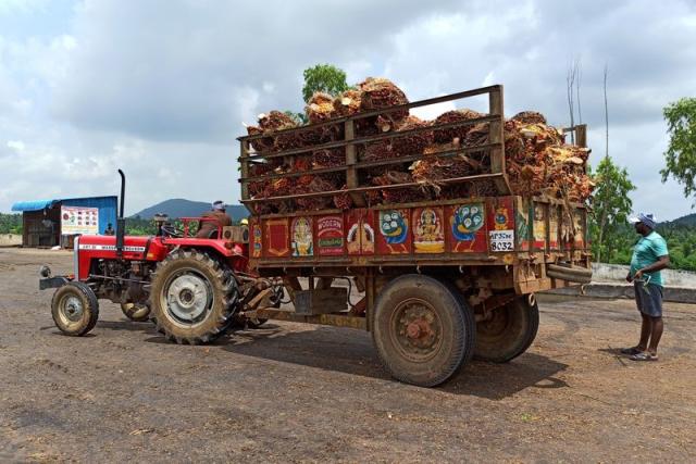 India seen coping with Indonesia curbs on palm oil exports