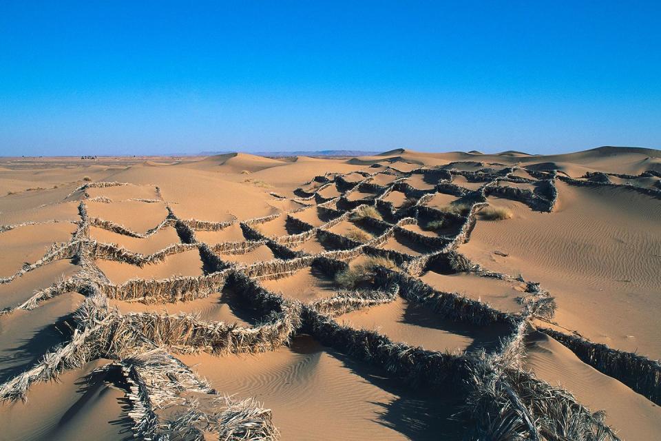 <p>Date palm branch fences create a diamond-shaped texture in the Sahara near Morocco // June 15, 2014</p>