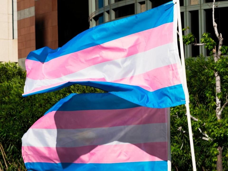 Two trans pride flags waving