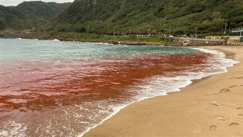 照片中，岸上空無一人，水中看起來也沒有什麼生物死亡。（圖／翻攝自基隆人）