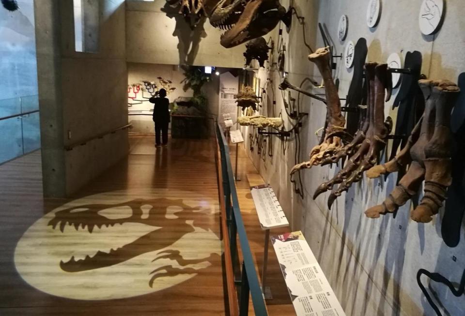 館內用活潑方式展示恐龍化石。