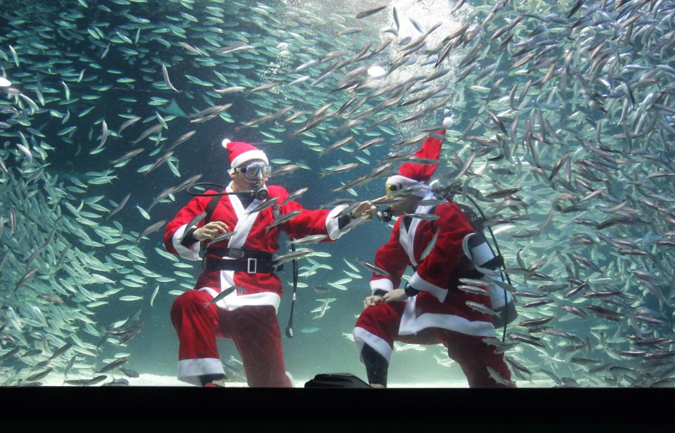 Santa Claus Diver Performs In Seoul