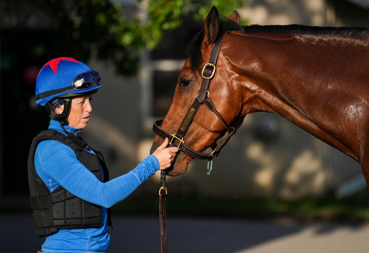 As jockey Sophie Doyle holds him, Kentucky Derby contender Epic Ride gets bathed on the backside at Churchill Downs in Louisville, Ky. May 1, 2024. Trainer is John Ennis. Owner is Welch Racing LLC.