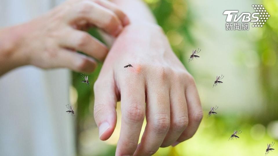 夏季是蚊子大量出沒的時機。（示意圖／shutterstock達志影像）