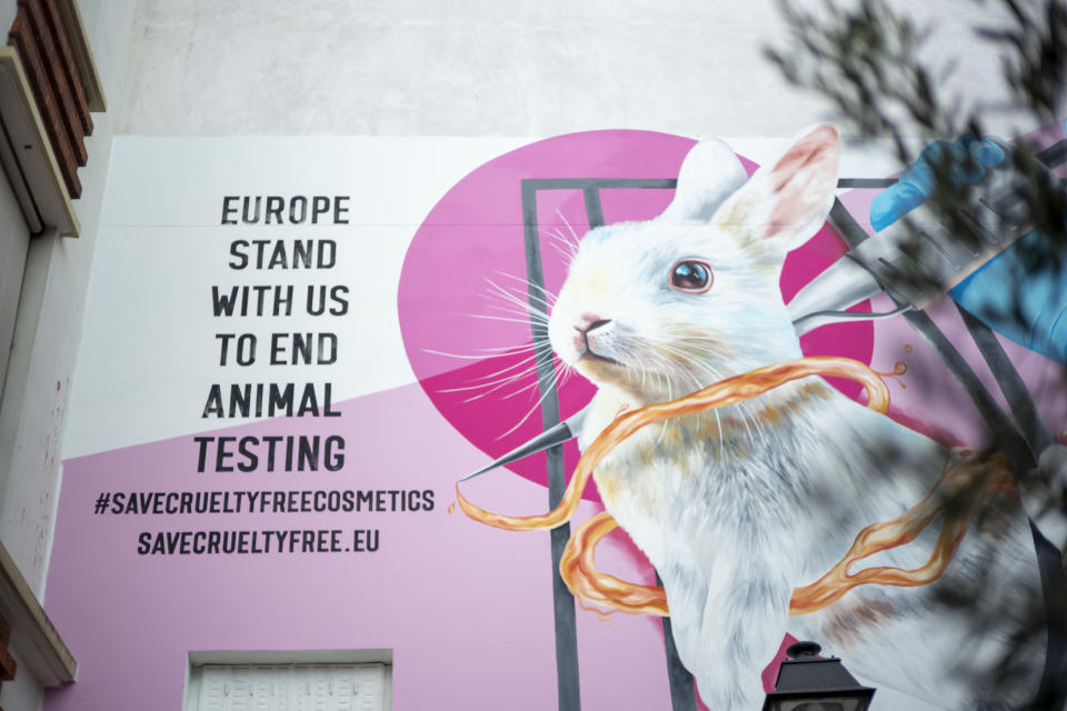 Dove and The Body Shop spearheaded an anti-animal testing campaign across Europe and the U.K.