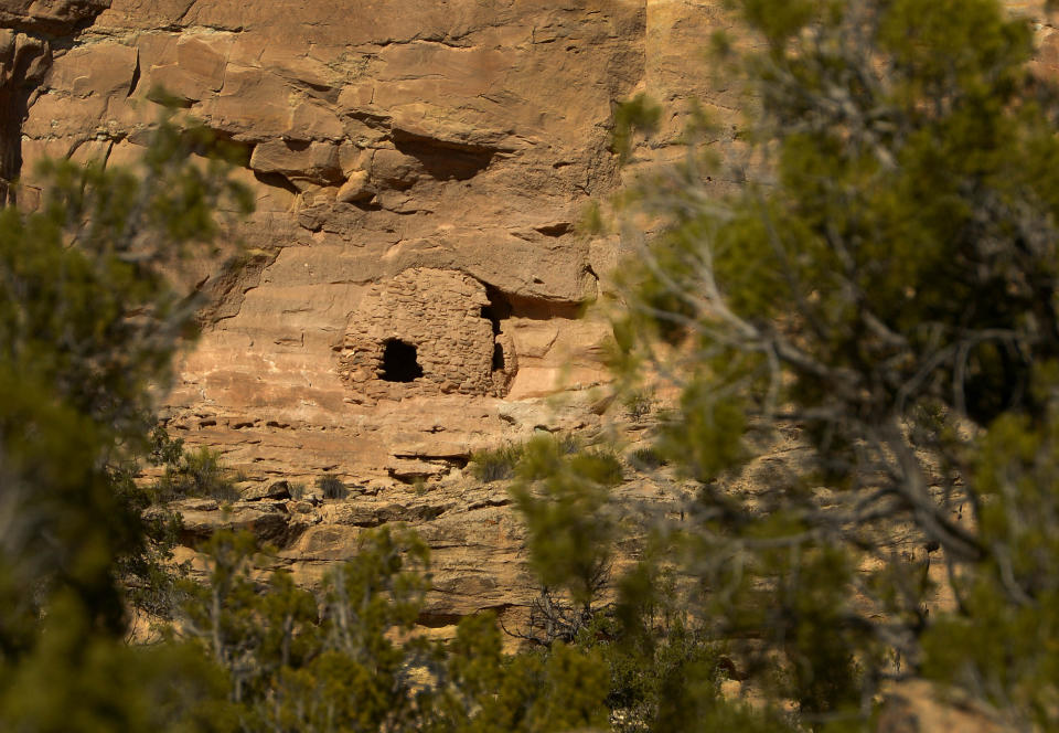 In this April 24, 2014 photo, Pueblo III-period cliff dwellings created by the Anasazi or Ancestral Puebloan peoples between 1150 and 1300 A.D. in Recapture Canyon near Blanding in Utah. The Bureau of Land Management closed it to motorized use in 2007. Recapture Canyon is home to dwellings, artifacts and burials left behind by Ancestral Puebloans hundreds of years ago before they mysteriously disappeared. Environmentalists and Native Americans say the ban is needed to preserve the fragile artifacts. (AP Photo/The Salt Lake Tribune, Leah Hogsten) DESERET NEWS OUT; LOCAL TV OUT; MAGS OUT