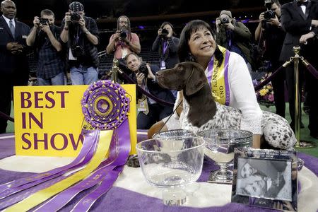 Handler Valerie Nunez Atkinson poses with CJ, a German Shorthaired Pointer from the Sporting Group, after they won Best in Show at the Westminster Kennel Club Dog show at Madison Square Garden in New York February 16, 2016. REUTERS/Brendan McDermid