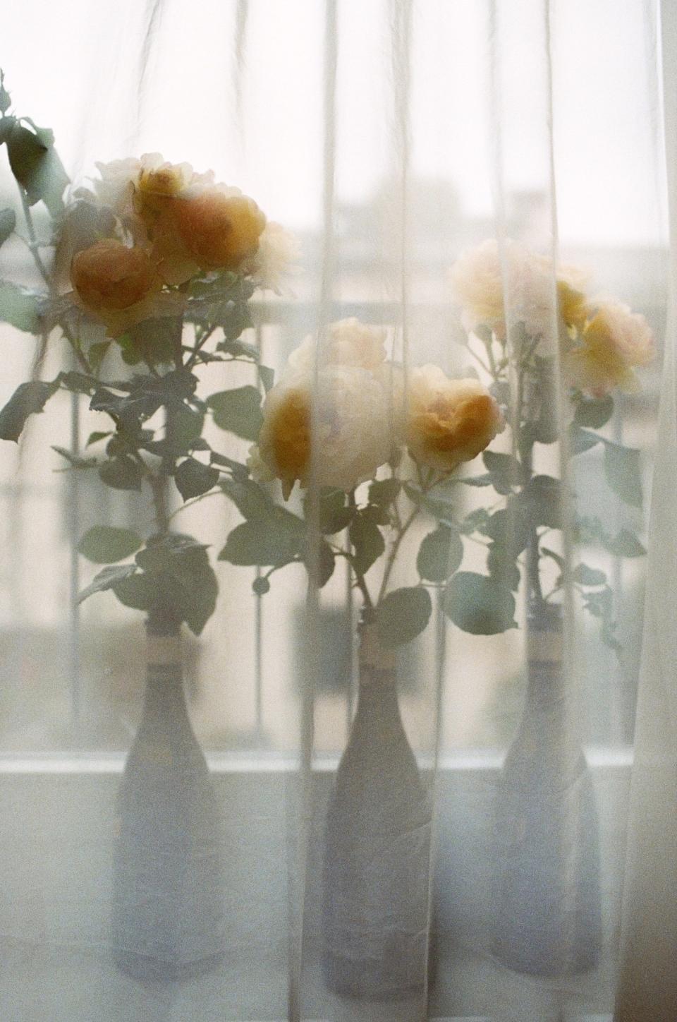 Empty champagne bottles filled with garden roses in our hotel room.