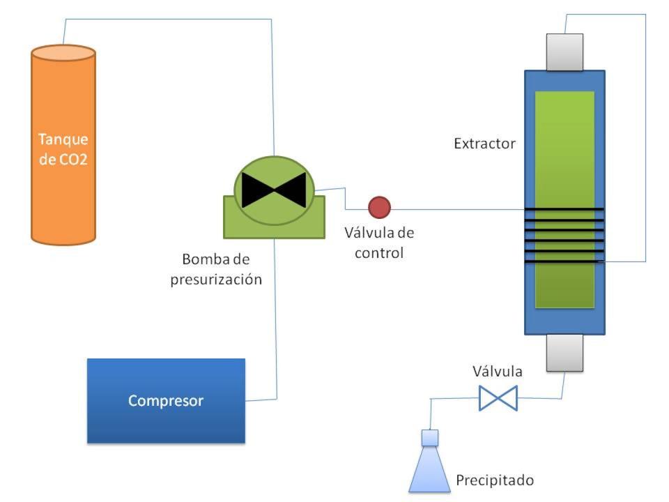 CO₂ supercrítico fluye a través del sólido y disuelve los componentes extraíbles. El disolvente con el componente se evacua desde el extractor al separador. Adaptado de González Alejo et al, 2019. Author provided