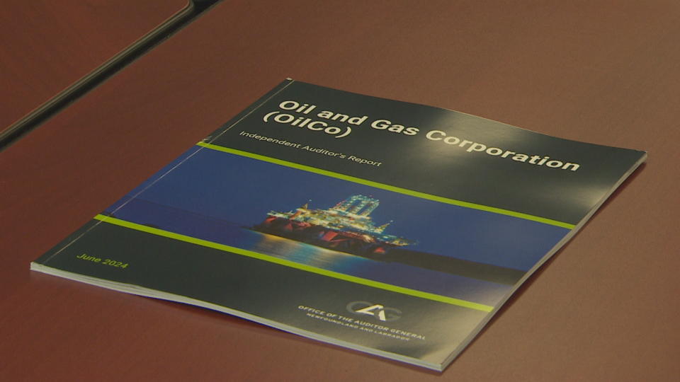 The results of the first audit of the Newfoundland and Labrador Oil and Gas Company were released Wednesday morning.