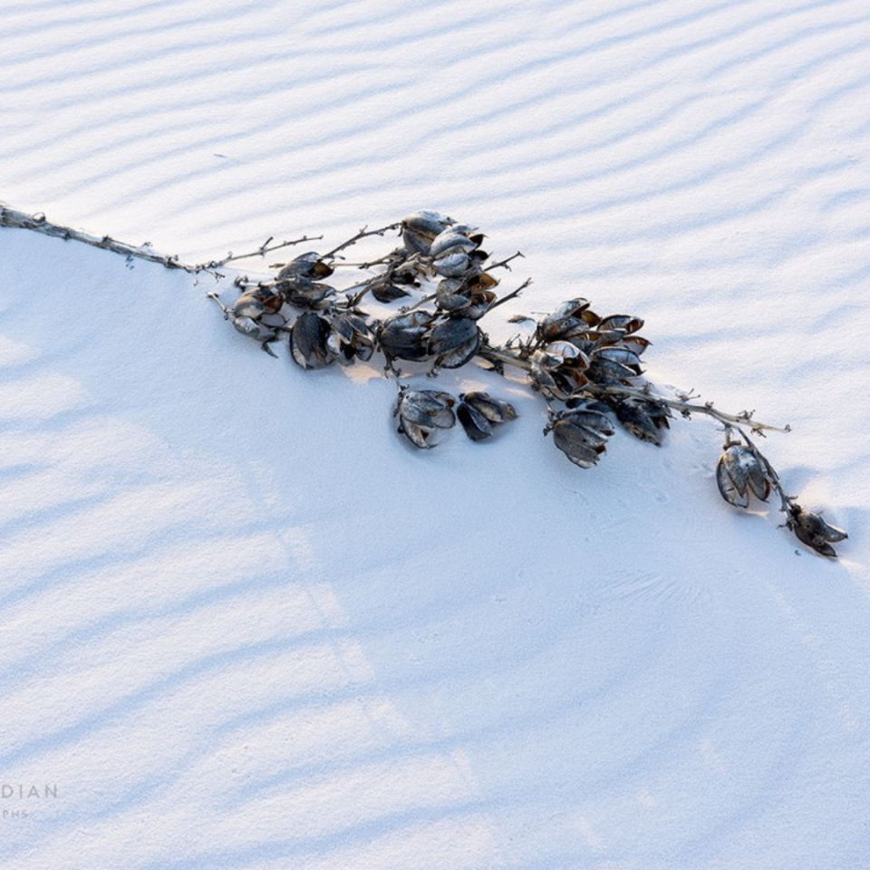 White Sands, captured by Santa Fe photographer Craig Varjabedian, was ranked 59th on the Kuru Footwear list.