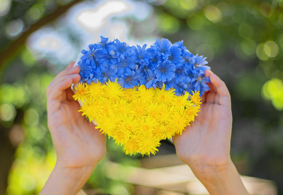 heart made of blue and yellow flowers in the hands of a child. Independence Day of Ukraine, Ukrainian flag.