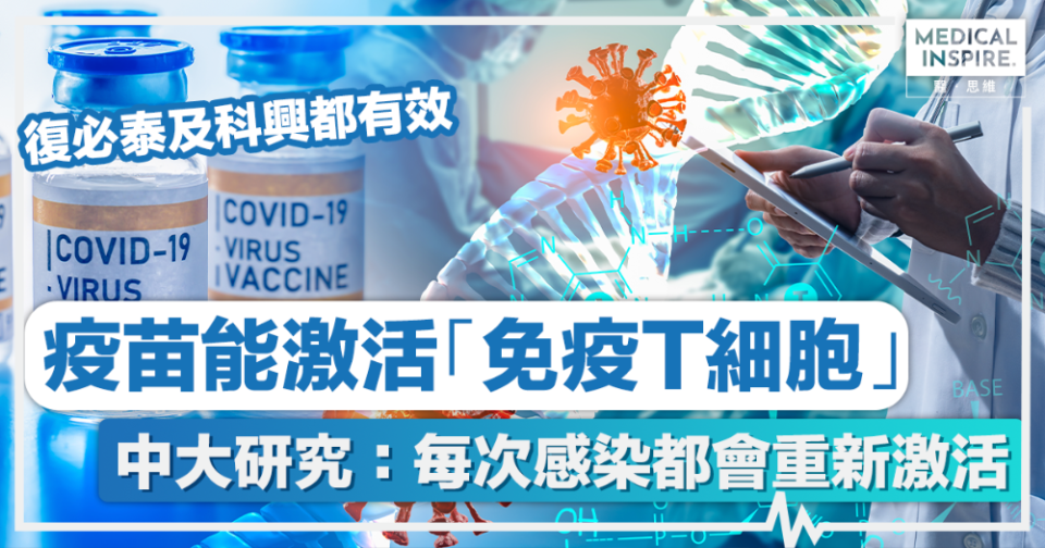 T細胞丨中大研究：新冠疫苗能激活「免疫T細胞」、每次感染都會重新激活，保護力或可長達17年！