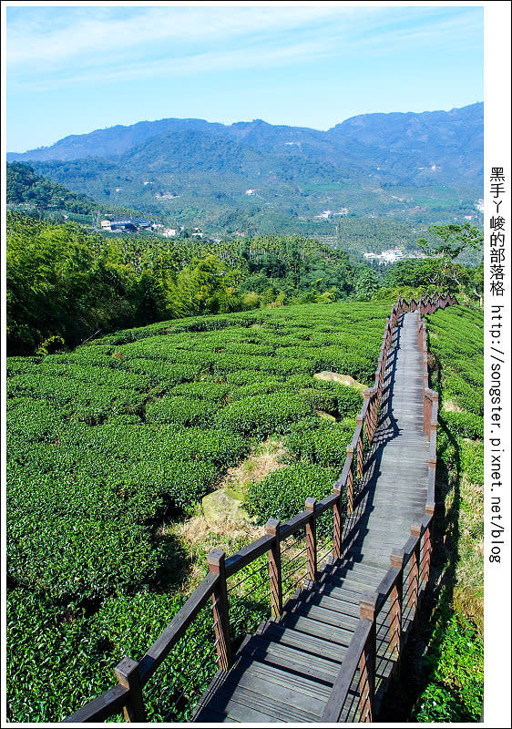 【嘉義】龍山國小 太興岩步道 交力坪車站