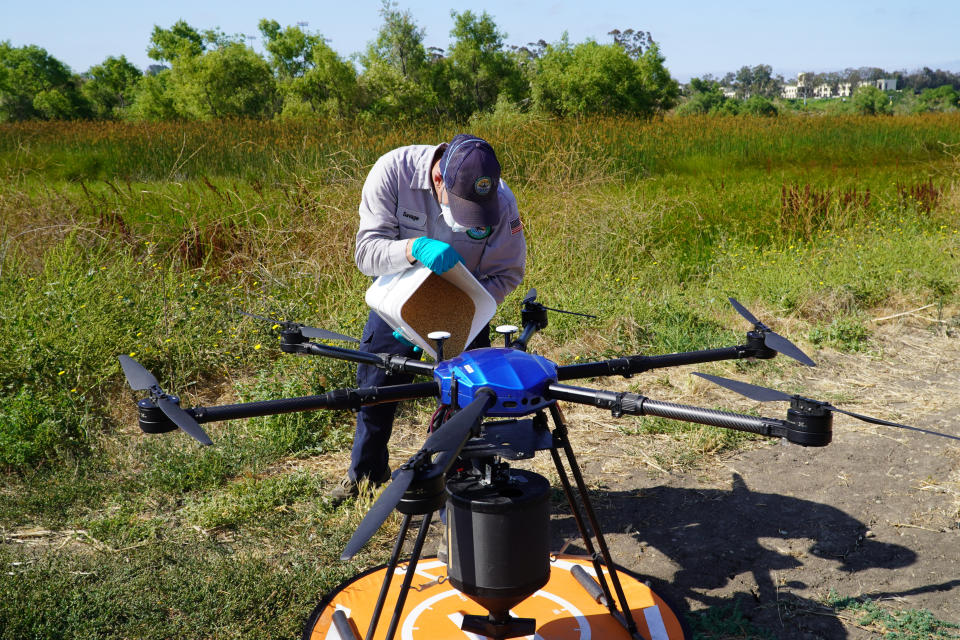 Drone pilot John Savage loads the hexacopter drone with anti-mosquito bacterial spore pellets at the San Joaquin Marsh Reserve at University of California in Irvine, Calif., on June 27, 2023. The drone is the latest technology deployed by the Orange County Mosquito and Vector Control District to attack mosquitoes developing in marshes, wetlands, large ponds and parks. (AP Photo/Eugene Garcia)