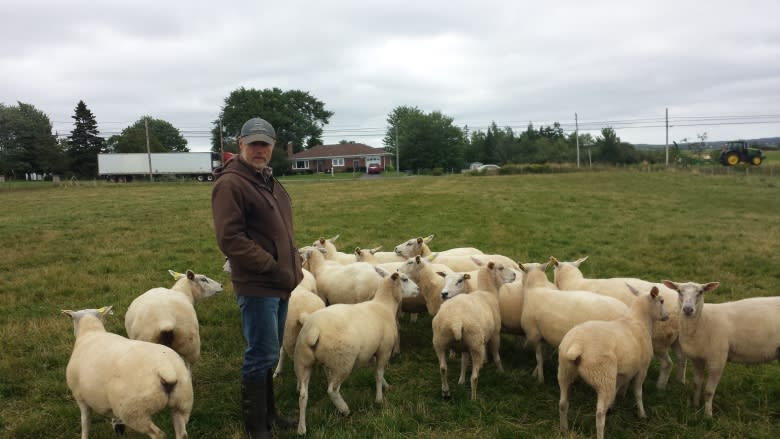 Nova Scotia lamb processor secures federal licence, eyes grocery giants