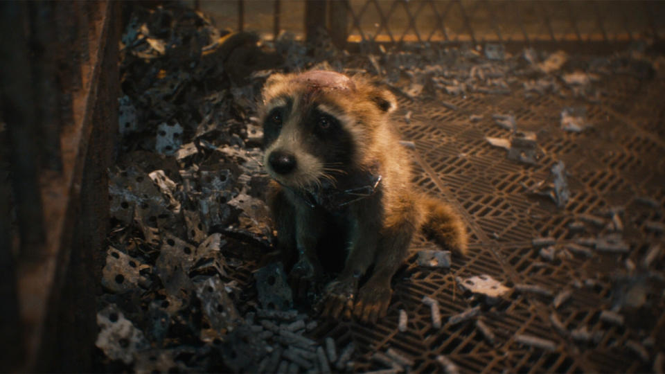 Baby Rocket in Guardians of the Galaxy Vol. 3