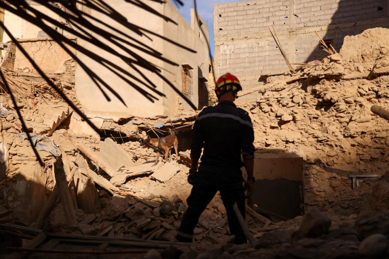 An emergency worker and a dog search bodies on the rubble (Reuters)