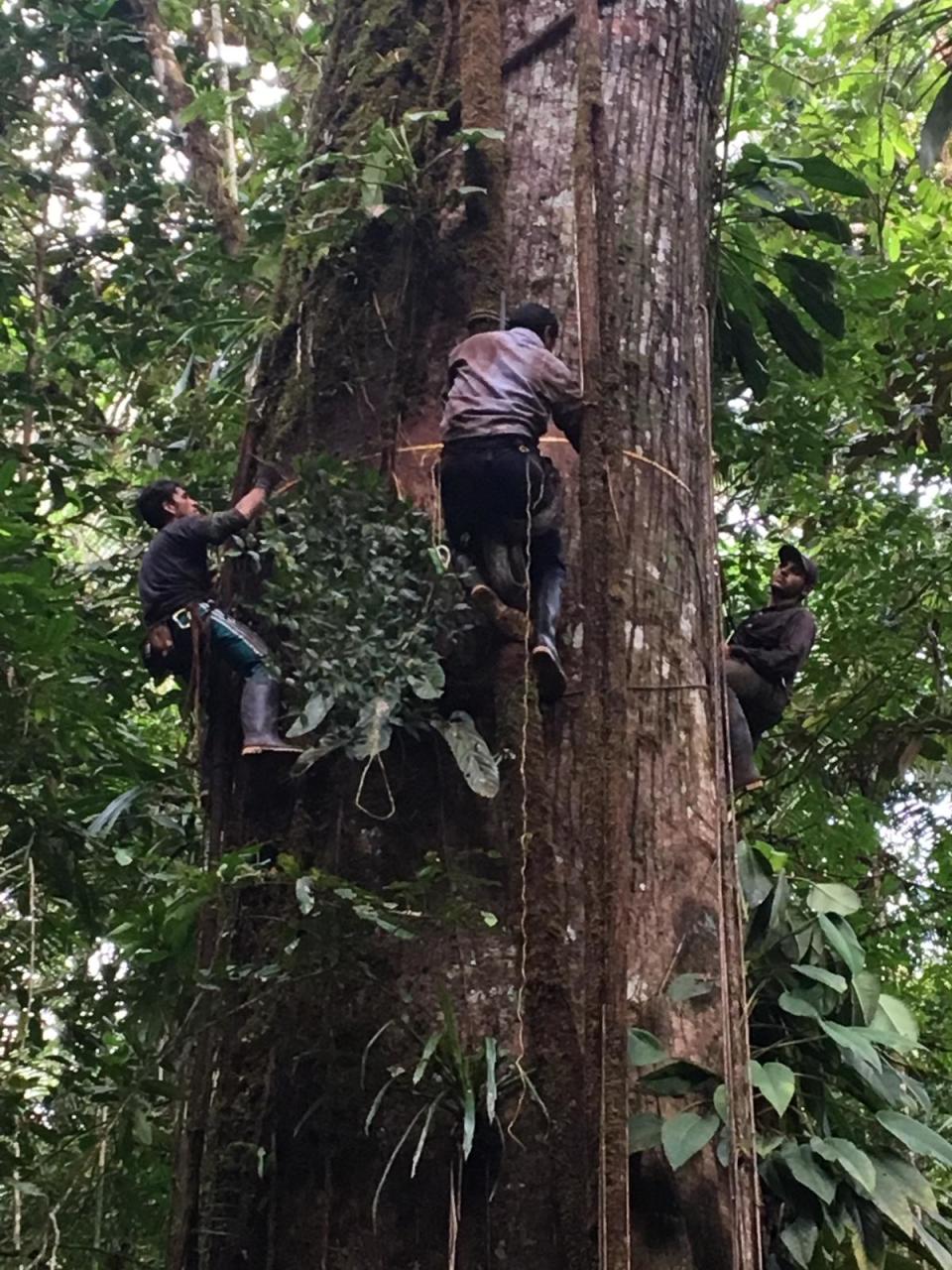 Colombia