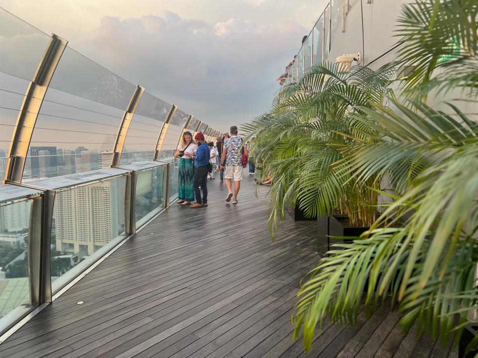 View of the observation deck with plants and people.