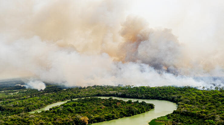 Das Pantanal brennt. Es ist eines der größten Binnenland-Feuchtgebiete der Welt und im Amazonas-Gebiet. Der WBGU fordert, dass Handelsabkommen an Klimaschutz und eine Wende im Umgang mit Land gekoppelt werden. Foto: dpa