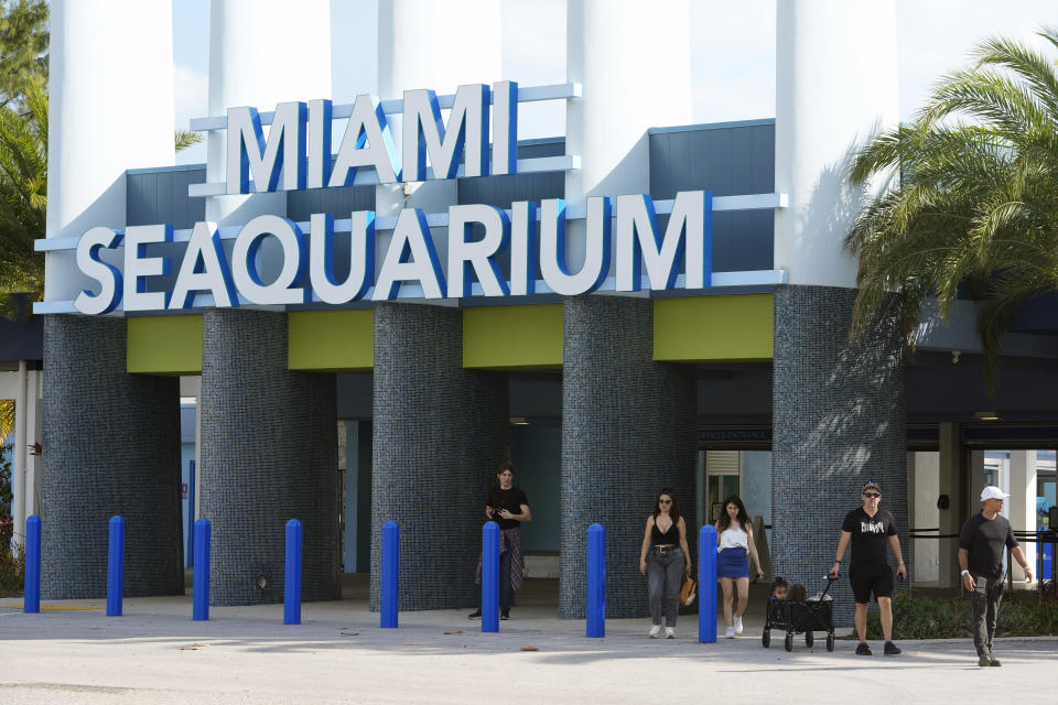 Visitors exit the Miami Seaquarium, Thursday, March 7, 2024, in Key Biscayne, Fla. The Miami Seaquarium, an old-Florida style tourist attraction that was home to Lolita, the beloved Orca that died last year, is being evicted from the waterfront property it leases from Miami-Dade County. (AP Photo/Marta Lavandier)