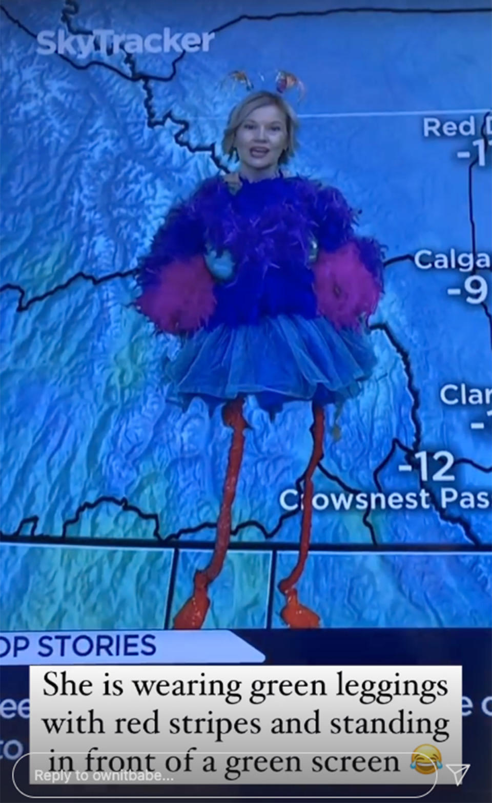 Calgary weather presenter's bizarre bird Halloween costume. Photo: Instagram.