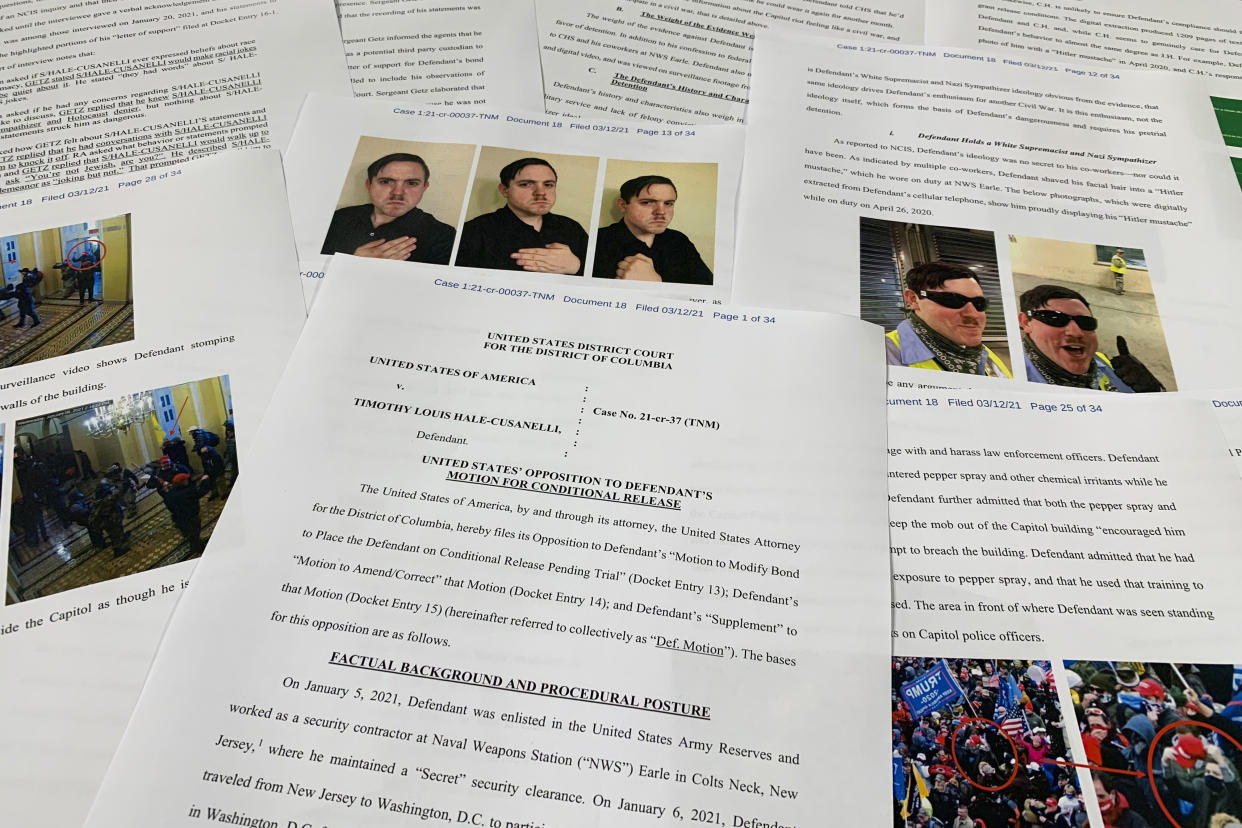 Several pages of the Department of Justice motion to oppose the conditional release of Timothy Hale-Cusanelli, who is seen in several portraits wearing a cropped Hitler mustache..