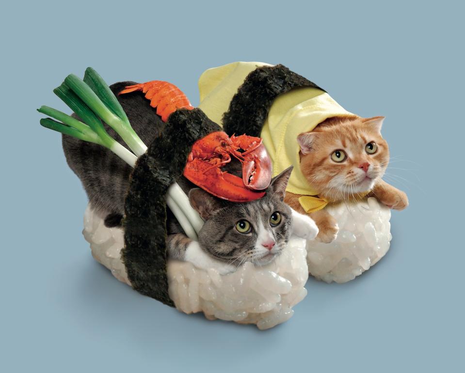 <h1 class="title">kitty-sushi.jpg</h1><cite class="credit">Photography © 2019 by Tang & Nakimushi Peanuts.</cite>