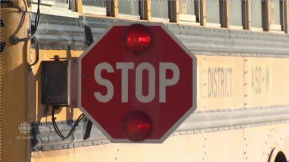 NDP Leader Dominic Cardy wants a judge to review whether separate school busing systems for English and French systems is a Constitutional requirement in New Brunswick.