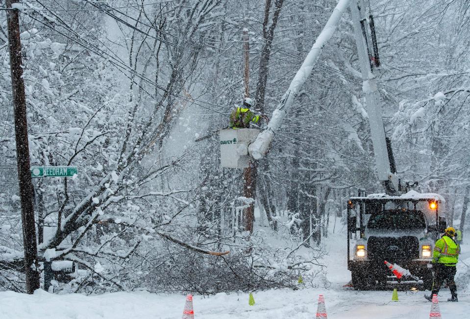 Tree crew foreman Seth Galentine cuts a fallen tree from a National Grid power line on South Ashburnham Road in Westminster Tuesday. Levi Wilson watches from the ground. The two-man crew from Davey Tree traveled from Michigan for the storm.