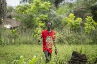 Adore Ngaka inspects his crops which he says have been damaged due to pollution caused by oil drilling near his village of Tshiende, Moanda, Democratic Republic of the Congo, Saturday, Dec. 23, 2023. (AP Photo/Mosa'ab Elshamy)