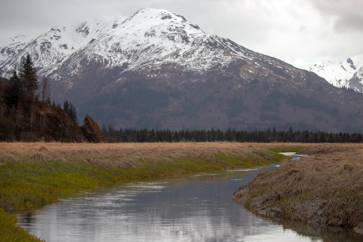 Researchers sound alarm over devastating side effect of rising temperatures in Alaskan rivers: ‘We endanger infrastructure’