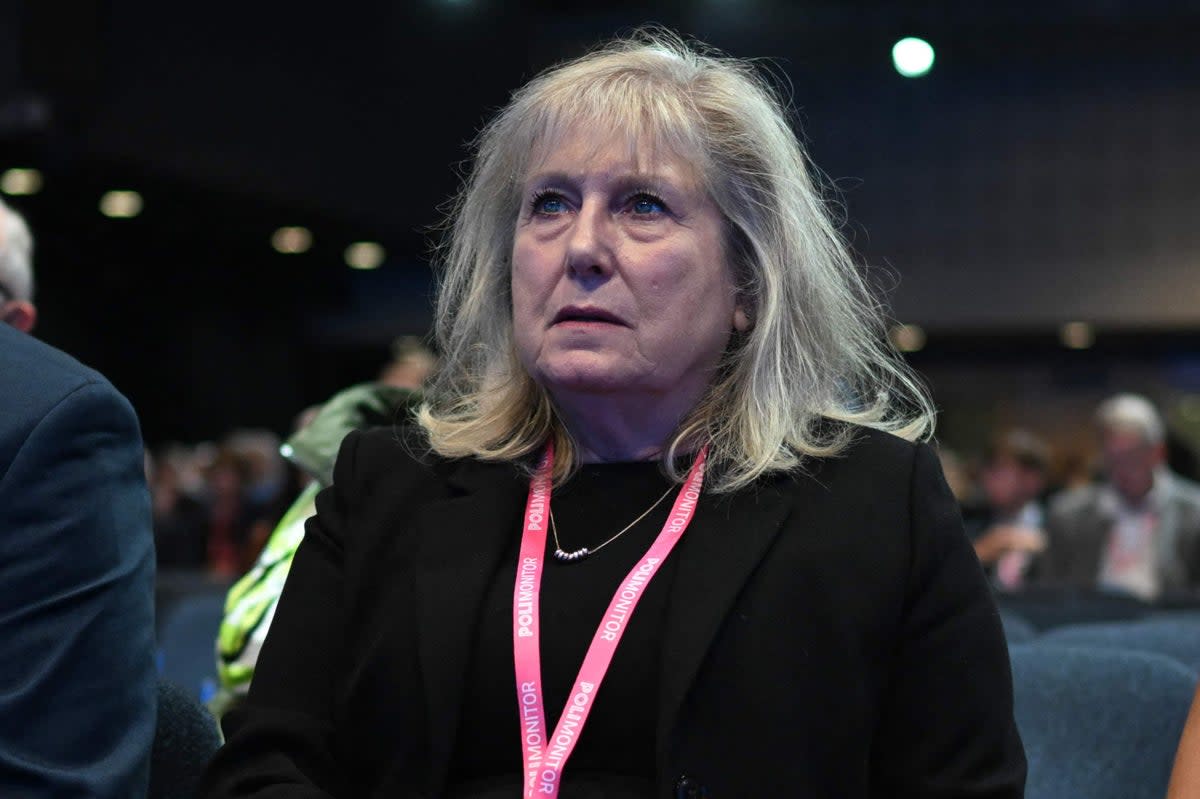 Tory mayoral candidate Susan Hall  (AFP via Getty Images)