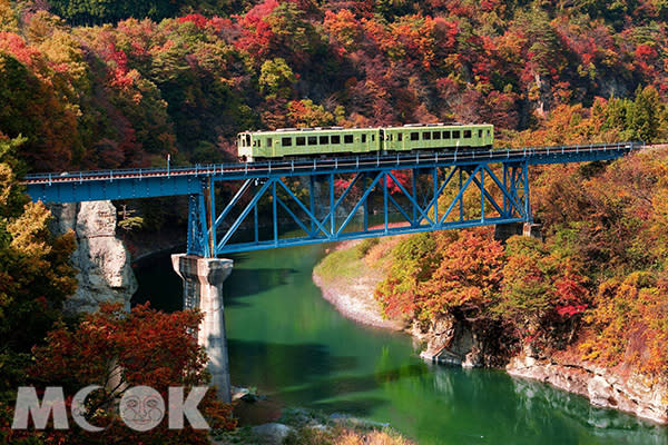 威爾森之樹是列車行駛中最受歡迎的景點。（圖片提供／樂天旅遊）