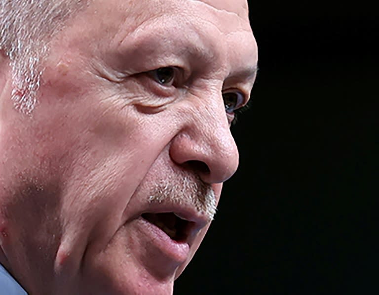 Sweden and Finland will have to overcome Turkish President Recep Tayyip Erdogan's reservations in order to secure NATO membership (AFP/Adem ALTAN)
